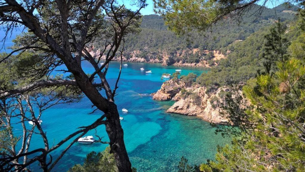 Studio Bandol Centre 2 Etoiles Ideal Emplacement Εξωτερικό φωτογραφία