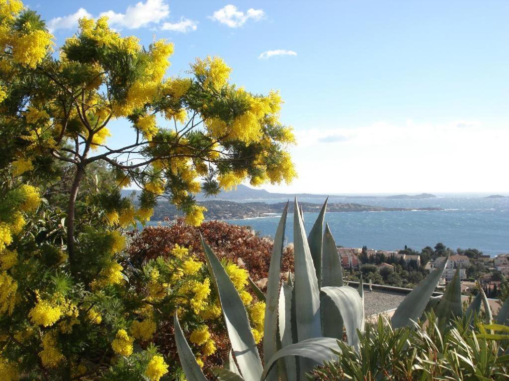 Studio Bandol Centre 2 Etoiles Ideal Emplacement Εξωτερικό φωτογραφία